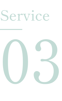 Service 03 SP